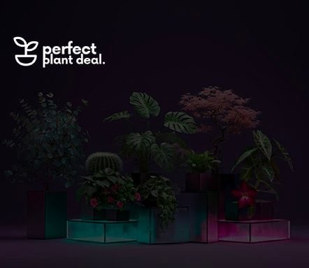 Perfect Plant Deal