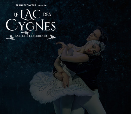 Le Lac des Cygnes