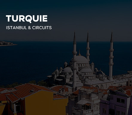 Turquie : Istanbul & circuits