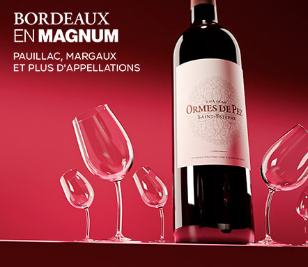 Bordeaux en Magnum