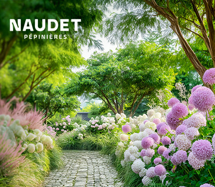 Pépinières Naudet