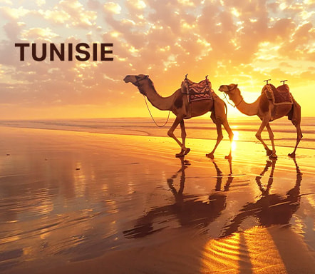 Tunisie