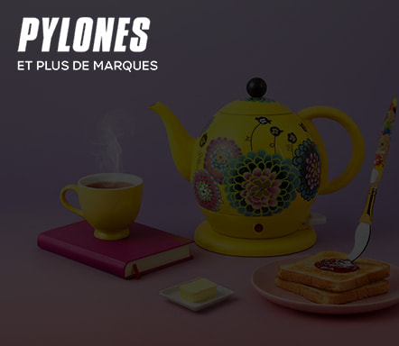 Pylones
