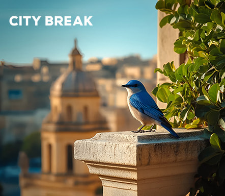 City Break