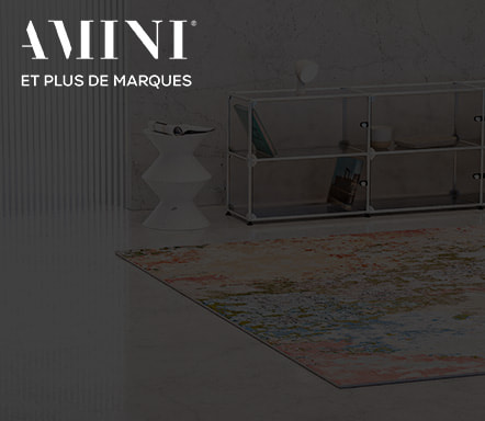 AMINI CARPETS