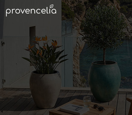 Provencelia 