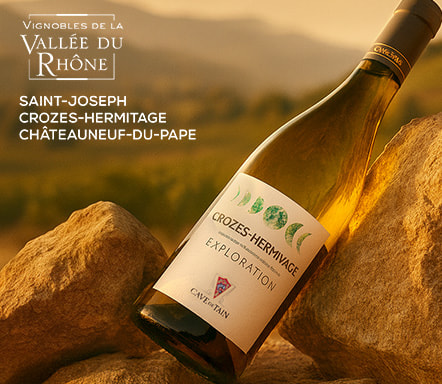 Vignoble de la Vallée du Rhône