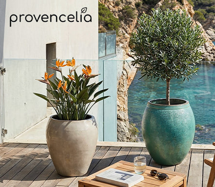 Provencelia 