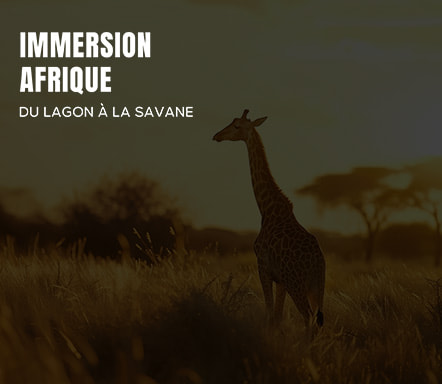 Immersion Afrique - Du lagon à la savane