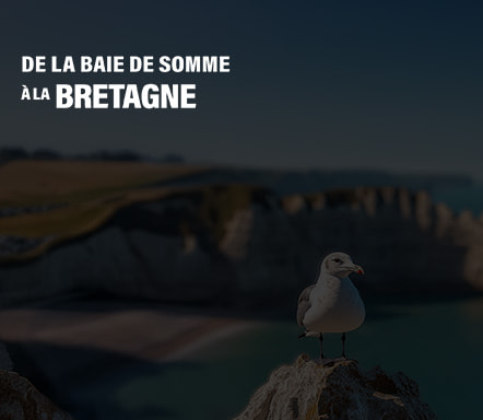 De la Baie de Sommes à la Bretagne