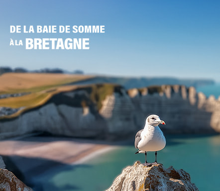De la Baie de Sommes à la Bretagne