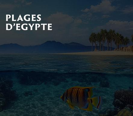 Egypte - 100% plages 