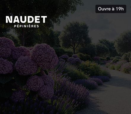 Pépinières Naudet