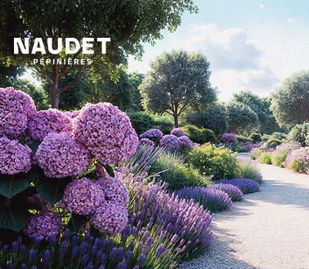 Pépinières Naudet