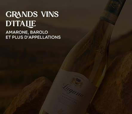 Grands vins d'Italie
