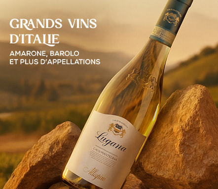 Grands vins d'Italie