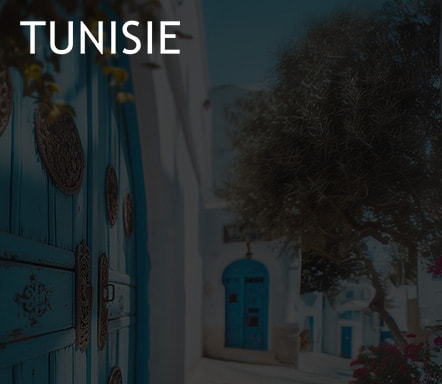 Vacances en Tunisie 