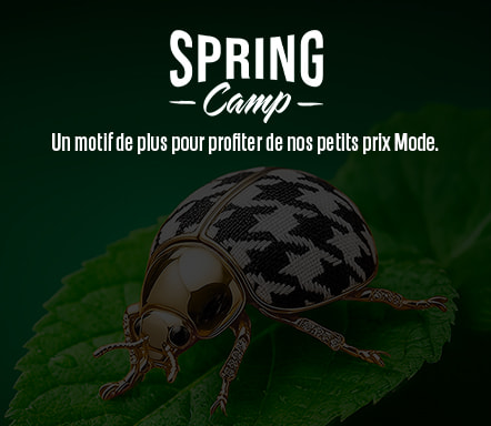 Spring Camp