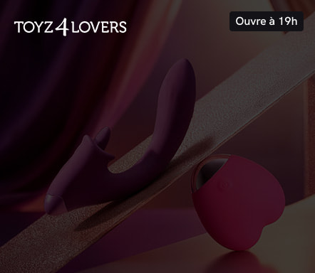 Toyz4Lovers