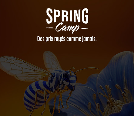 Spring Camp