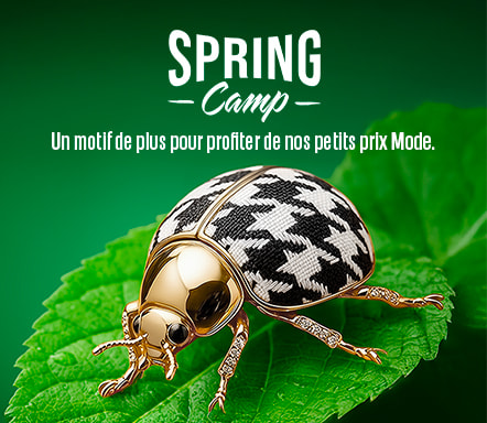 Spring Camp