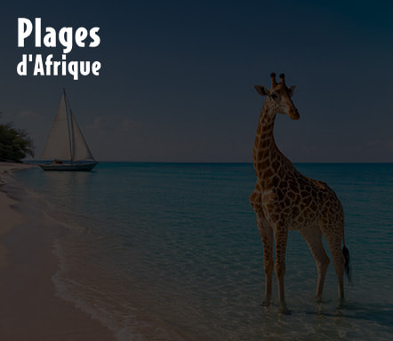 Plages d'Afrique