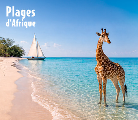 Plages d'Afrique