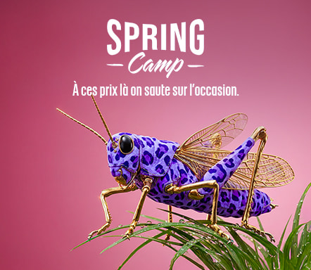 Spring camp
