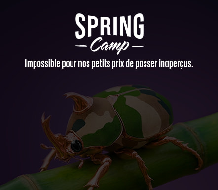 Spring Camp