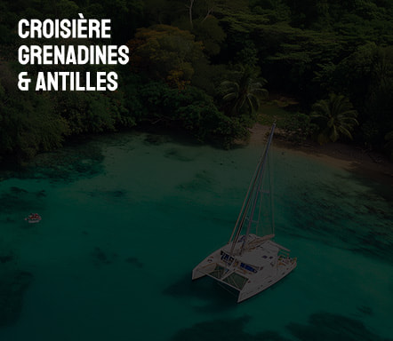 Croisière Grenadines et Antilles