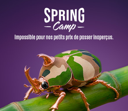 Spring Camp