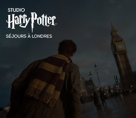 Londres x Studio Harry Potter