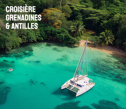 Croisière Grenadines et Antilles