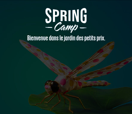 Spring Camp