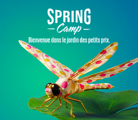 Spring Camp