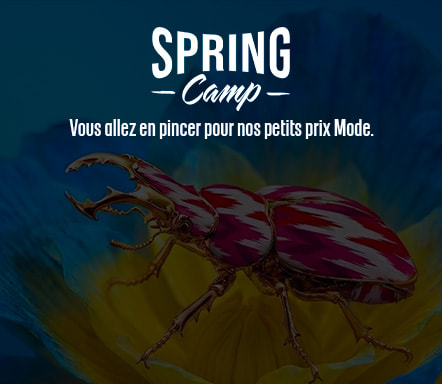 Spring Camp