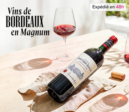 Les vins de Bordeaux