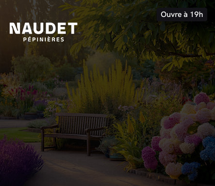 Pépinières Naudet