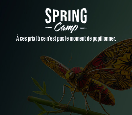 Spring Camp