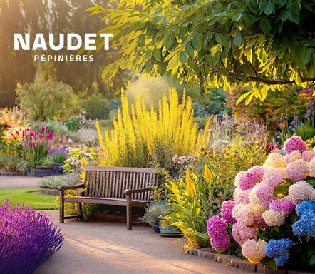 Pépinières Naudet