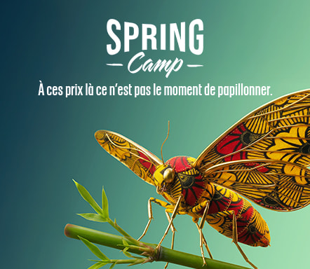 Spring Camp