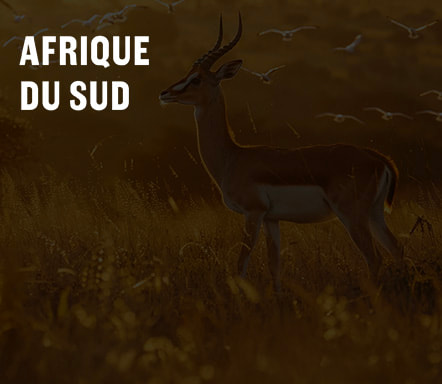 Afrique du Sud