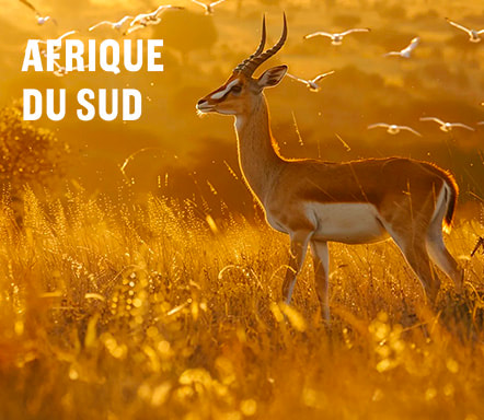 Afrique du Sud