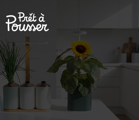 Prêt à pousser
