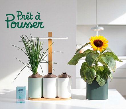 Prêt à pousser