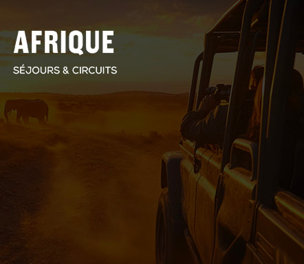 Afrique, séjours et circuits