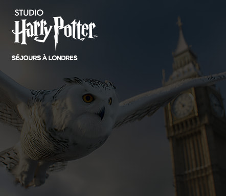 Studio Harry Potter : séjours à Londres 