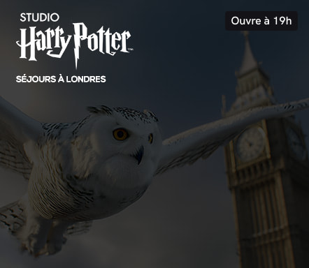Studio Harry Potter : séjours à Londres 