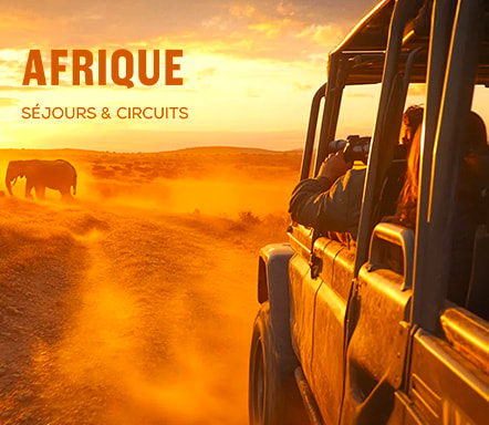 Afrique, séjours et circuits