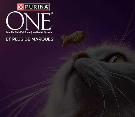 PURINA